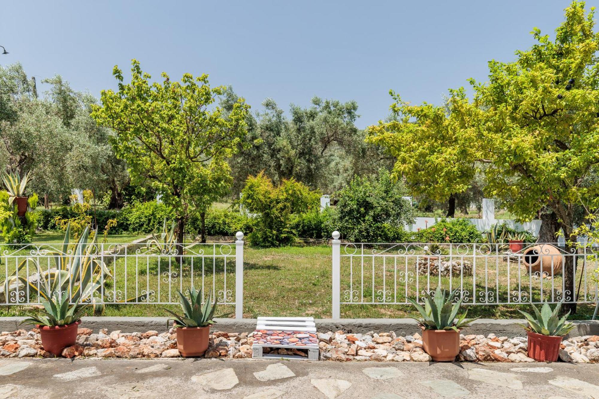 Panagou Studios Skopelos Dış mekan fotoğraf